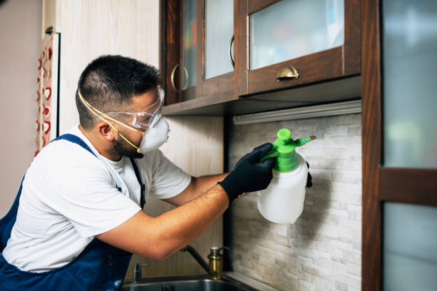 Best Best Pest Control Companies  in Nashwauk, MN