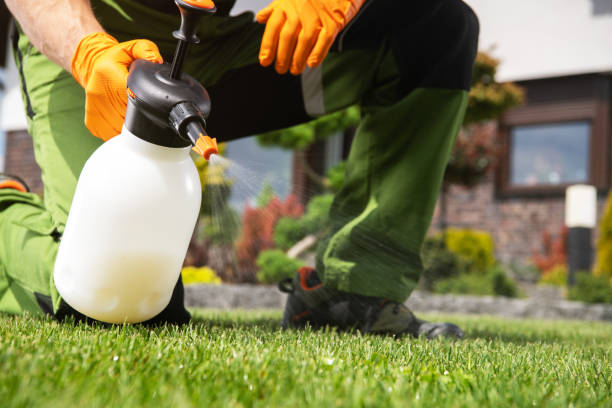 Best Emergency Pest Control  in Nashwauk, MN