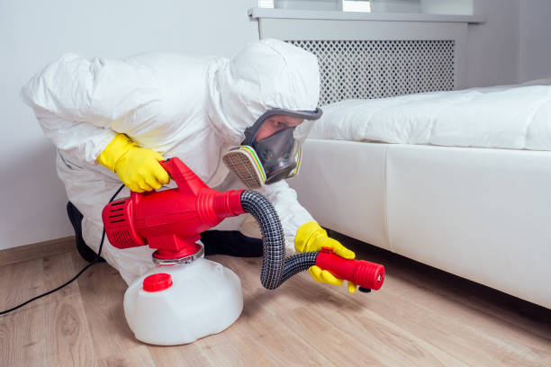 Best Mosquito Control Services  in Nashwauk, MN