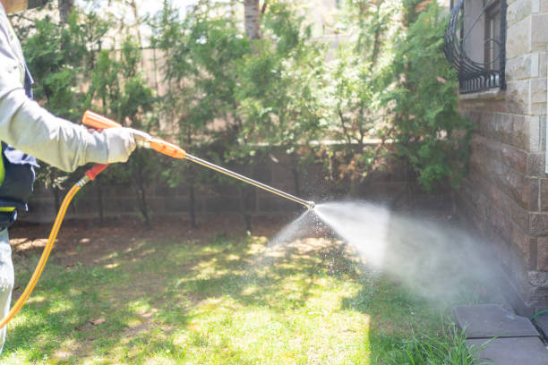 Best Wildlife Control Services  in Nashwauk, MN