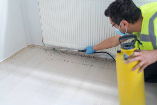Best Pest Control for Restaurants  in Nashwauk, MN